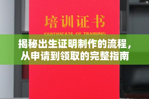 站前揭秘出生证明制作的流程，从申请到领取的完整指南