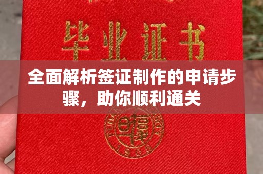 站前全面解析签证制作的申请步骤，助你顺利通关