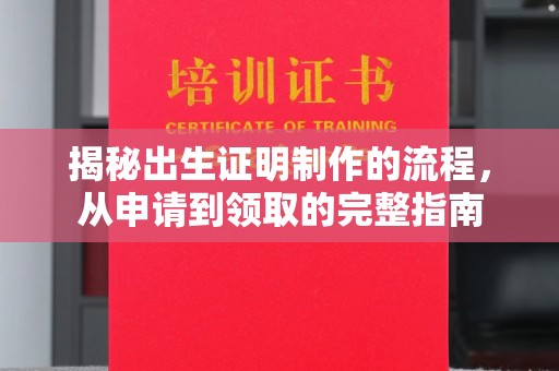 站前揭秘出生证明制作的流程，从申请到领取的完整指南